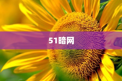 51暗网
