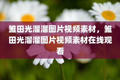 雏田光溜溜图片视频素材，雏田光溜溜图片视频素材在线观看