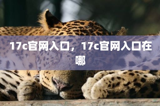 17c官网入口，17c官网入口在哪