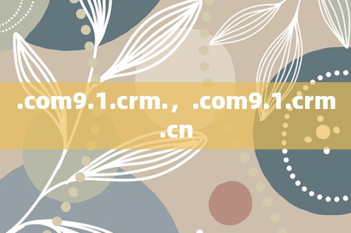 .com9.1.crm.，.com9.1.crm.cn