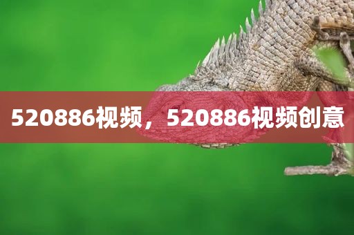 520886视频，520886视频创意