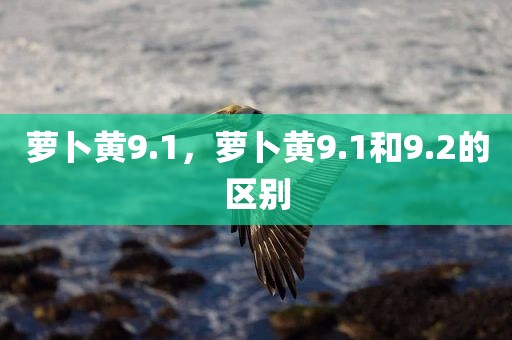 萝卜黄9.1，萝卜黄9.1和9.2的区别