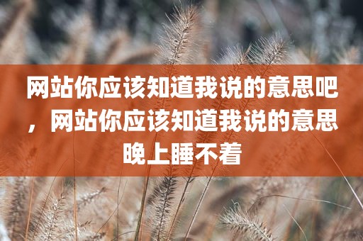 网站你应该知道我说的意思吧，网站你应该知道我说的意思晚上睡不着