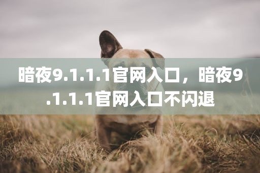 暗夜9.1.1.1官网入口，暗夜9.1.1.1官网入口不闪退