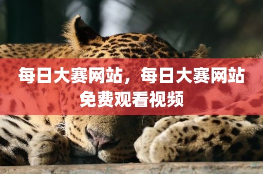 每日大赛网站，每日大赛网站免费观看视频