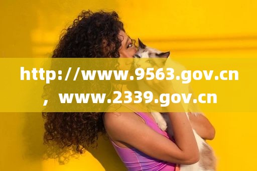 http://www.9563.gov.cn，www.2339.gov.cn