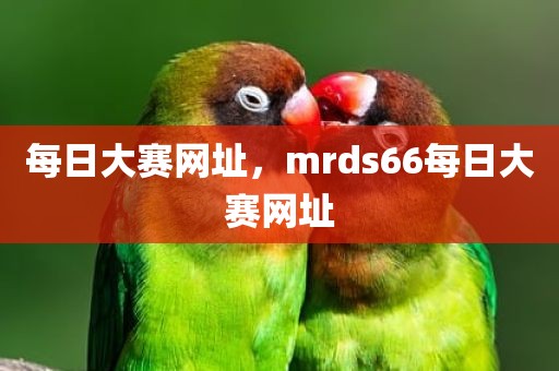 每日大赛网址，mrds66每日大赛网址