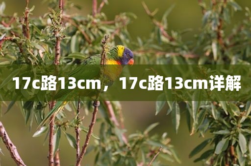 17c路13cm，17c路13cm详解