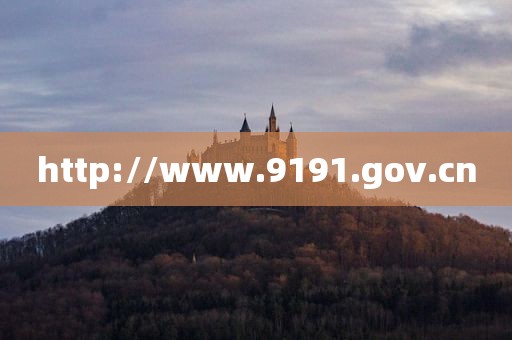 http://www.9191.gov.cn