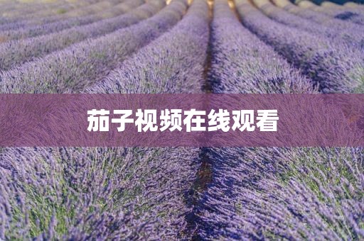 茄子视频在线观看