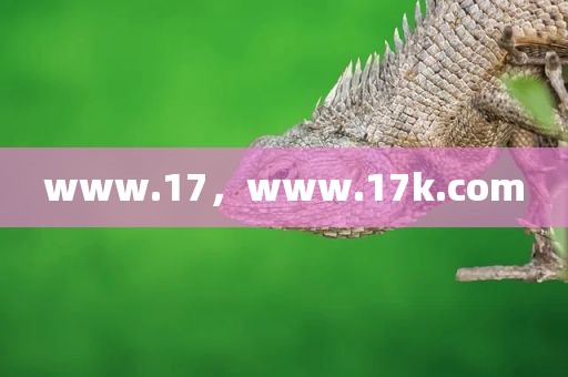 www.17，www.17k.com