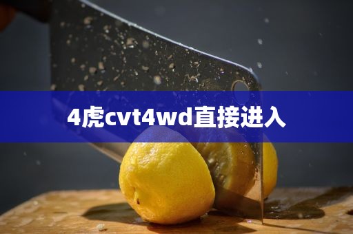 4虎cvt4wd直接进入