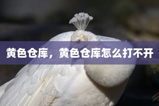 黄色仓库，黄色仓库怎么打不开