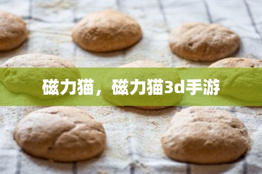 磁力猫，磁力猫3d手游