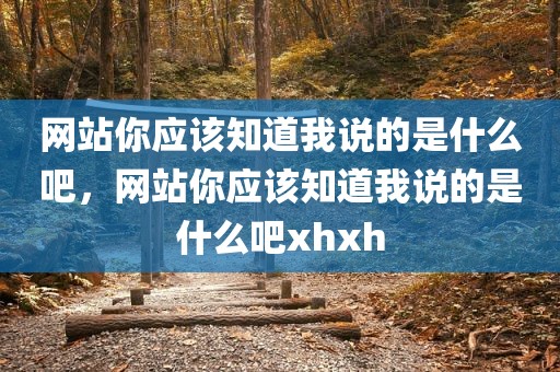 网站你应该知道我说的是什么吧，网站你应该知道我说的是什么吧xhxh