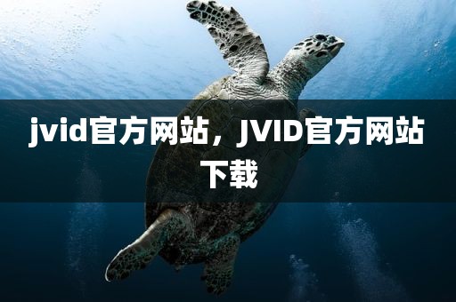 jvid官方网站，JVID官方网站下载