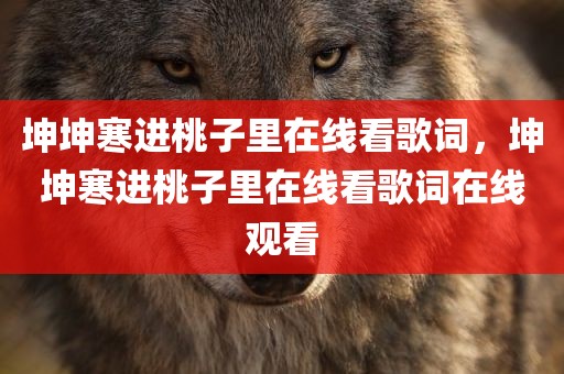 坤坤寒进桃子里在线看歌词，坤坤寒进桃子里在线看歌词在线观看