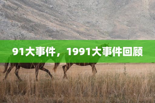 91大事件，1991大事件回顾