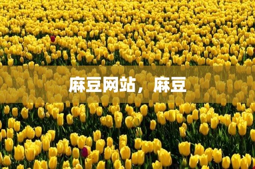 麻豆网站，麻豆