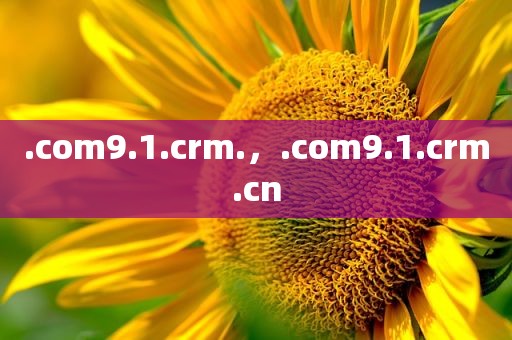 .com9.1.crm.，.com9.1.crm.cn