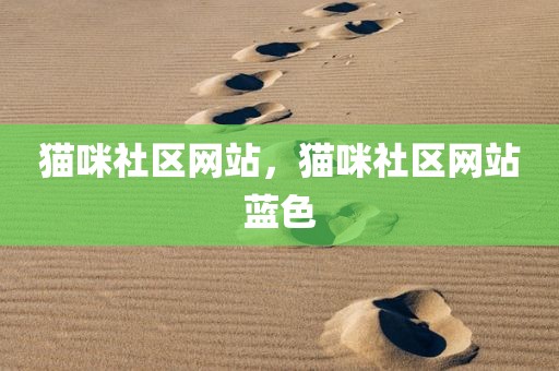 猫咪社区网站，猫咪社区网站蓝色