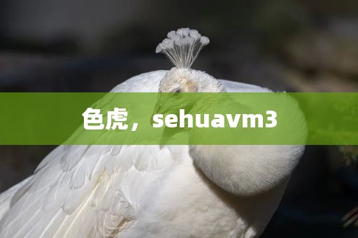 色虎，sehuavm3