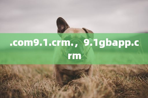 .com9.1.crm.，9.1gbapp.crm