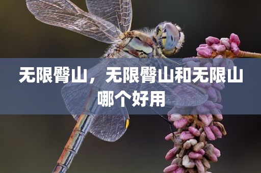 无限臀山，无限臀山和无限山哪个好用