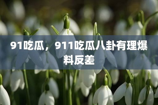 91吃瓜，911吃瓜八卦有理爆料反差