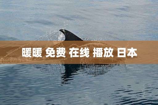 暖暖 免费 在线 播放 日本
