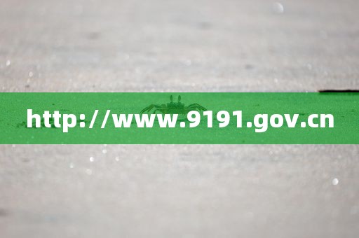 http://www.9191.gov.cn