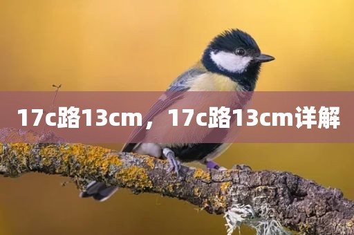 17c路13cm，17c路13cm详解