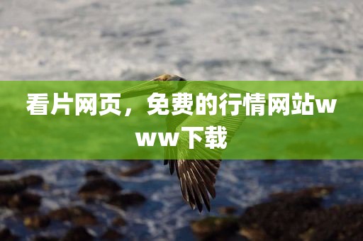 看片网页，免费的行情网站www下载