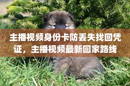 主播视频身份卡防丢失找回凭证，主播视频最新回家路线