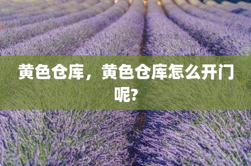 黄色仓库，黄色仓库怎么开门呢?