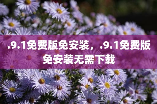 .9.1免费版免安装，.9.1免费版免安装无需下载