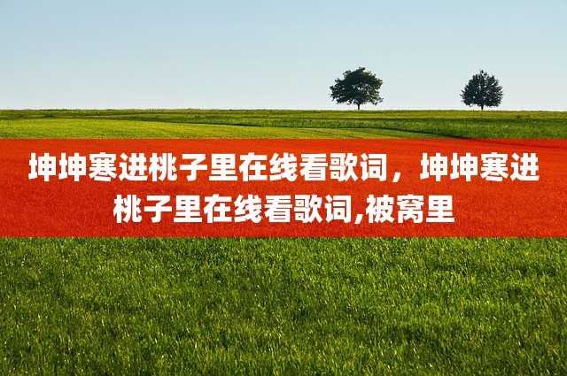 坤坤寒进桃子里在线看歌词，坤坤寒进桃子里在线看歌词,被窝里