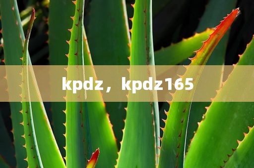 kpdz，kpdz165