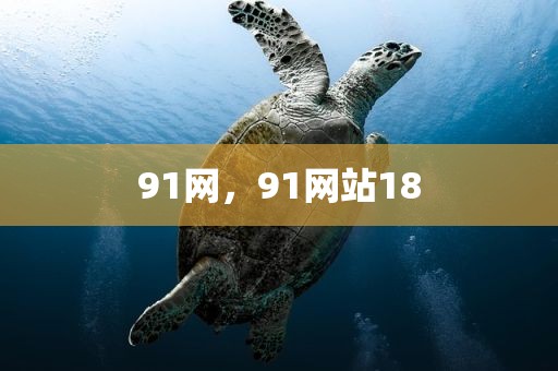 91网，91网站18