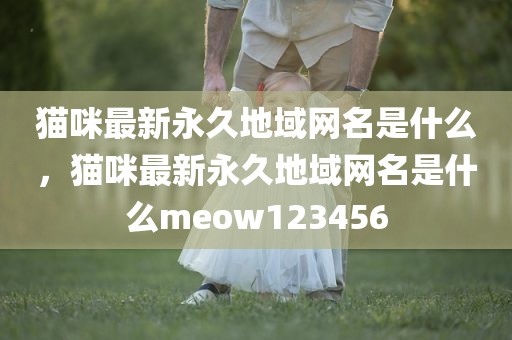 猫咪最新永久地域网名是什么，猫咪最新永久地域网名是什么meow123456