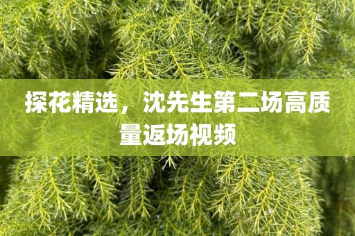 探花精选，沈先生第二场高质量返场视频
