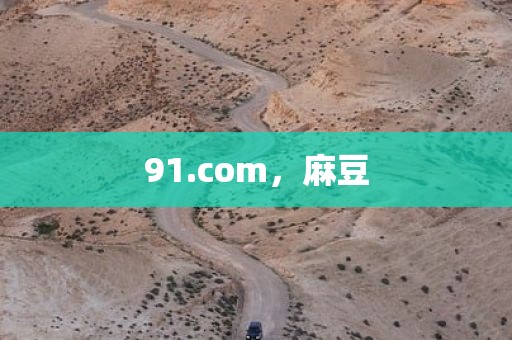 91.com，麻豆
