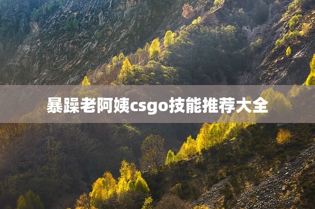 暴躁老阿姨csgo技能推荐大全