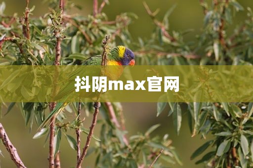 抖阴max官网