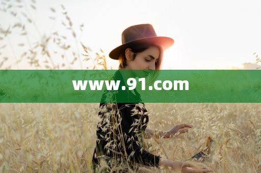 www.91.com