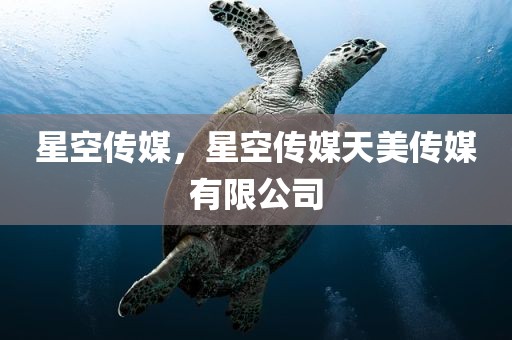 星空传媒，星空传媒天美传媒有限公司