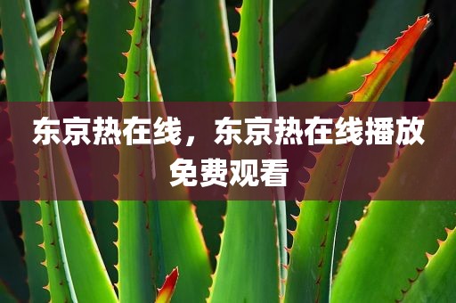东京热在线，东京热在线播放免费观看