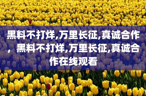黑料不打烊,万里长征,真诚合作，黑料不打烊,万里长征,真诚合作在线观看