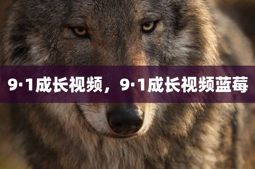 9·1成长视频，9·1成长视频蓝莓