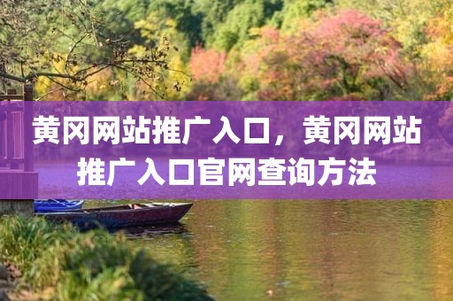 黄冈网站推广入口，黄冈网站推广入口官网查询方法
